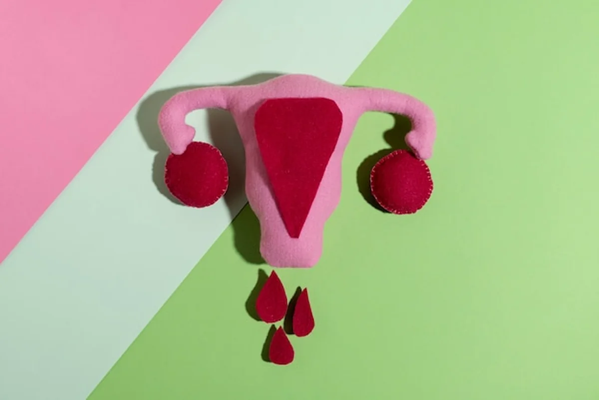 Płaski układ rozrodczy kobiet