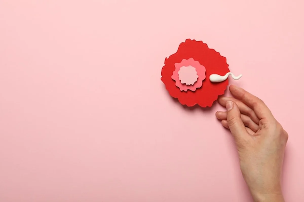 Koncepcja zapłodnienia, okres owulacji, nasienie i komórka jajowa